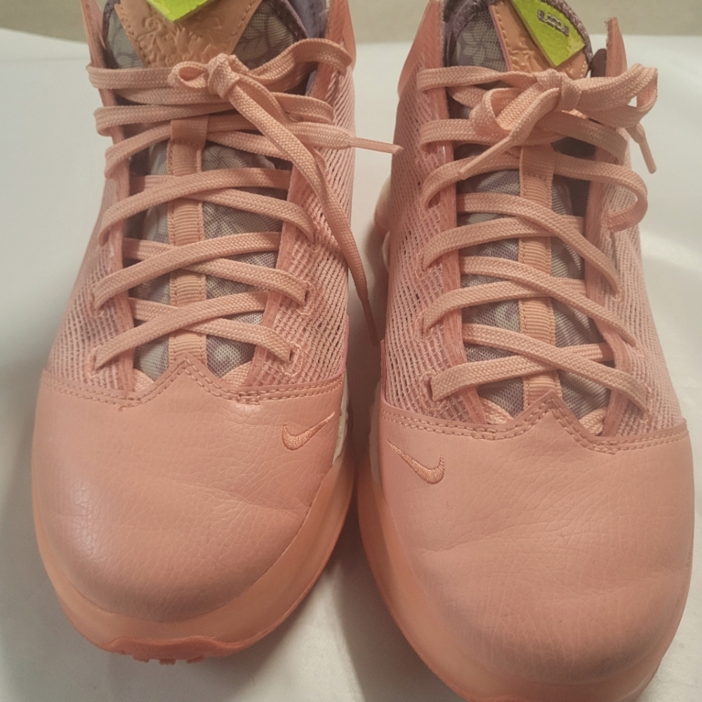 Nike LeBron 19 Low Hawaii